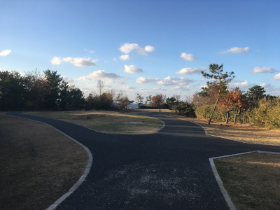 夏井が浜はまゆう公園内